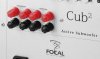 Focal - Cub2 _b.jpg