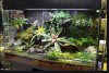 terrarium06.JPG