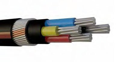 6-sq-mm-4-core-aluminium-armoured-cable-500x500.jpg