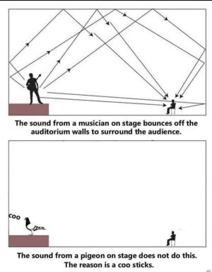 audiophile-v64izy.jpg