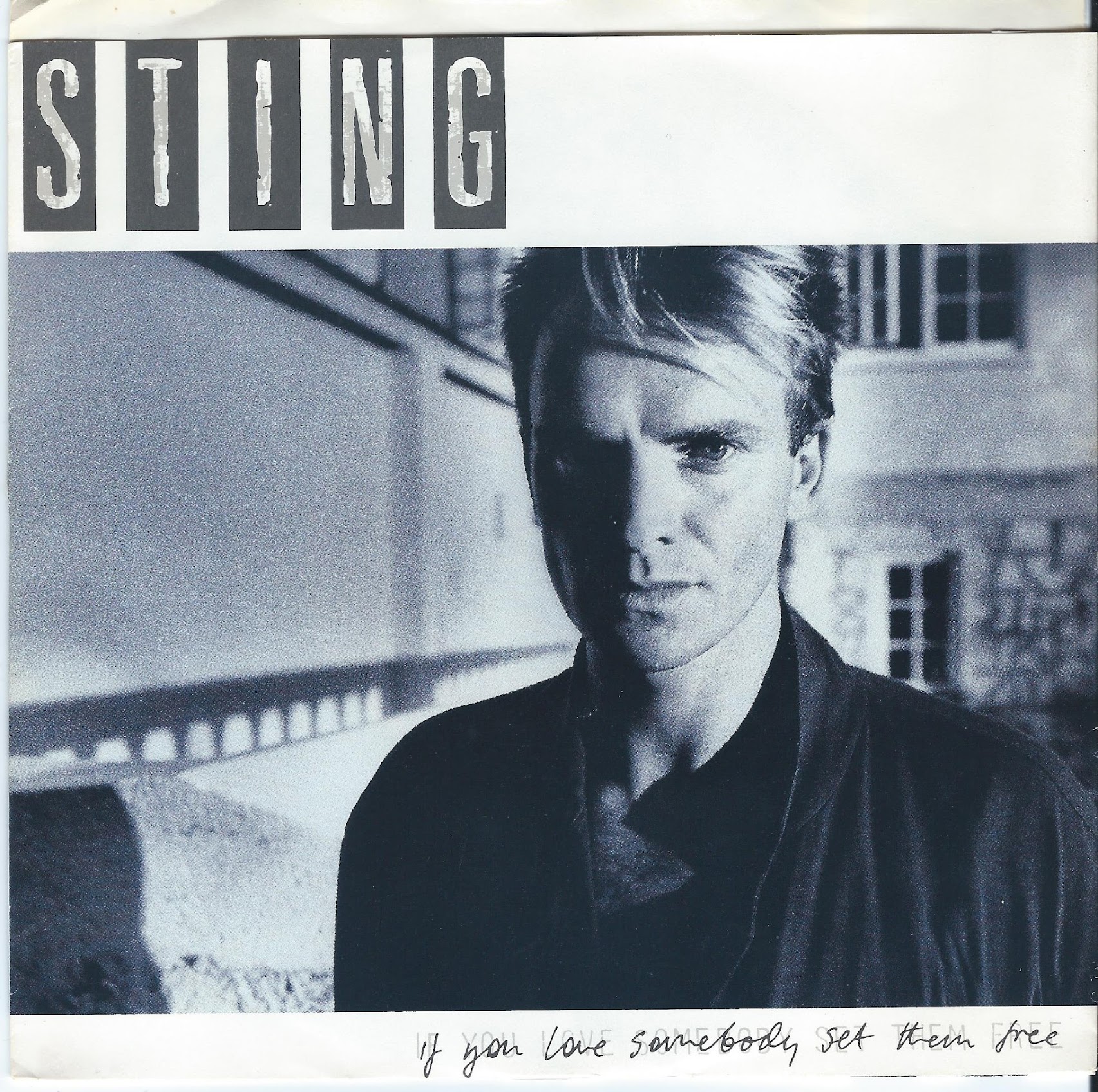 Sting1.jpg