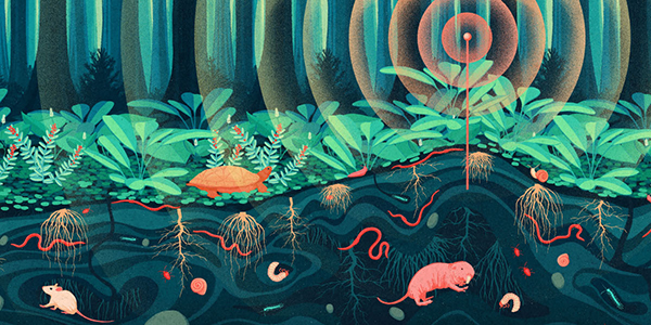 Illustration of subterranean creatures, plants and a sensor in the ground.