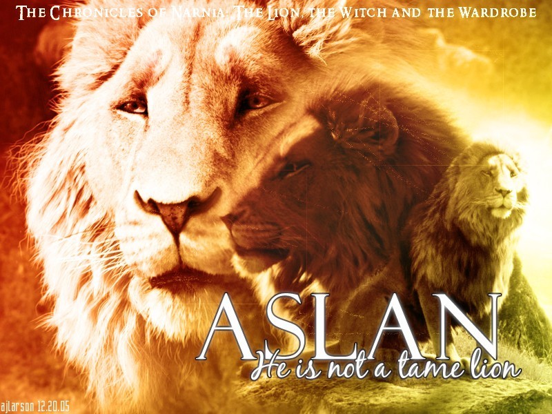 Aslan-aslan-18376541-800-600.jpg