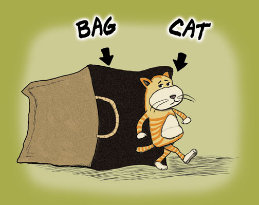 catbag.jpg