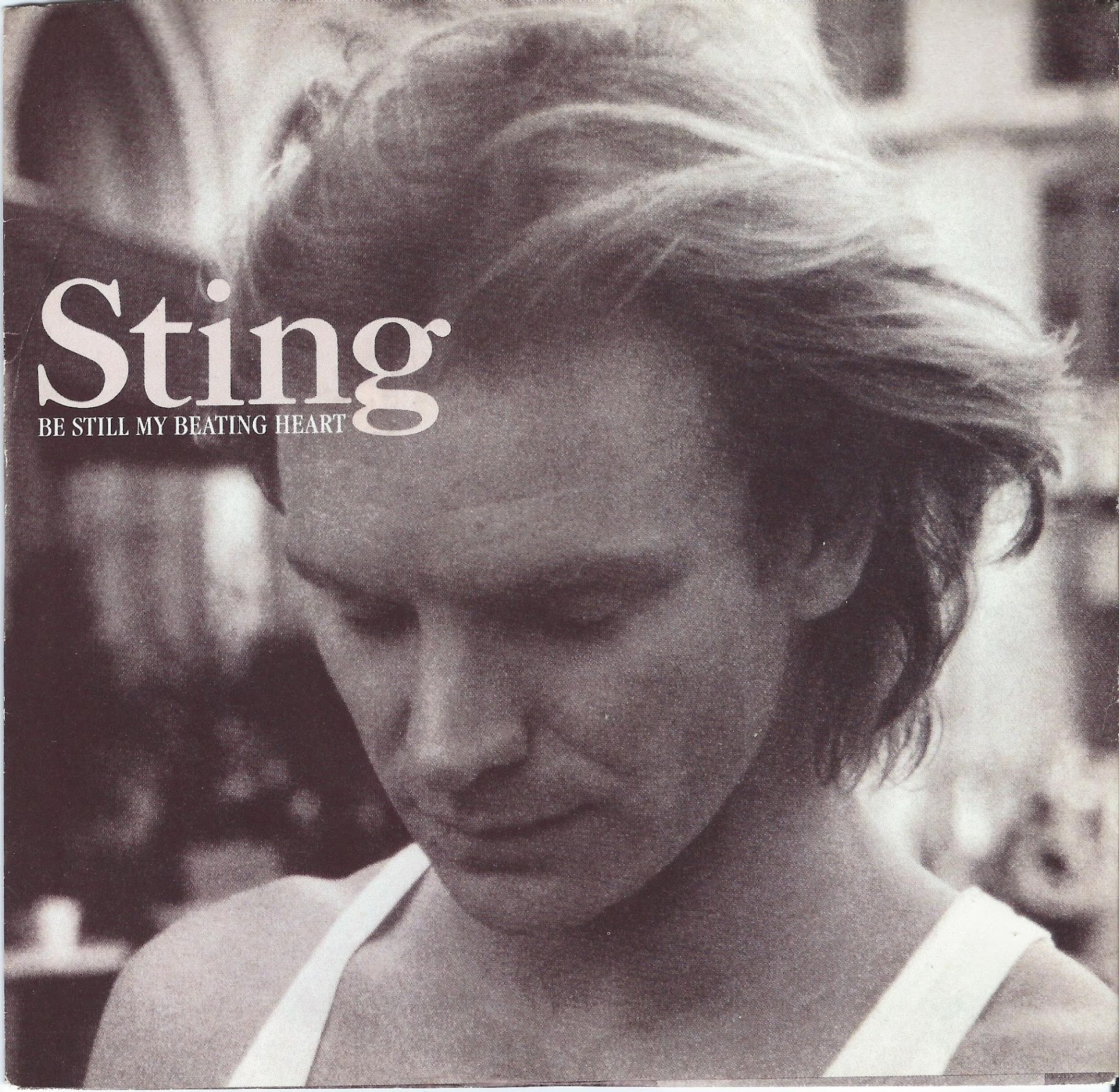 Sting5.jpg